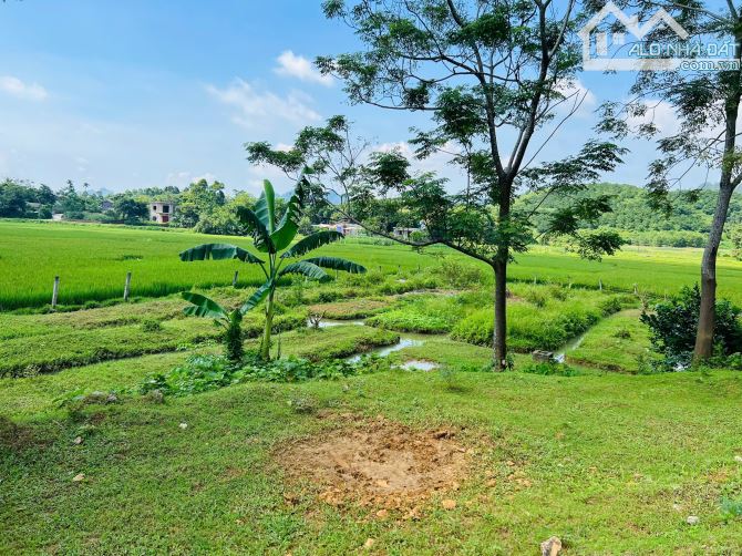 Bán gấp lô đất giá rẻ diện tích 3325m view cánh đồng có thể múc ao thả cá tại Hòa Bình - 1