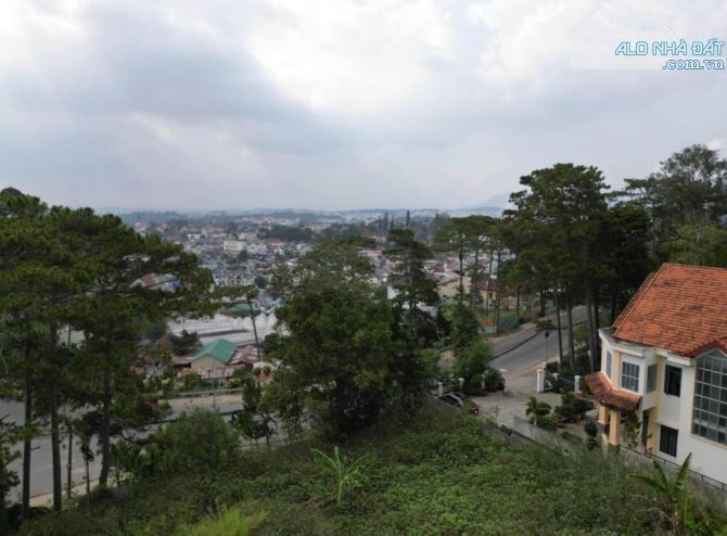 CỰC PHẨM LÔ ĐẤT TRẦN QUANG DIỆU- HÙNG VƯƠNG ĐÀ LẠT THUẬN TIỆN KINH DOANH - 3