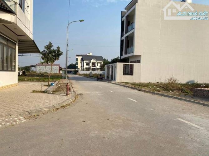 Bán đất đấu giá Cầu Lọc, Ngọc Tảo, Phúc Thọ, 2 mặt đường. - 3