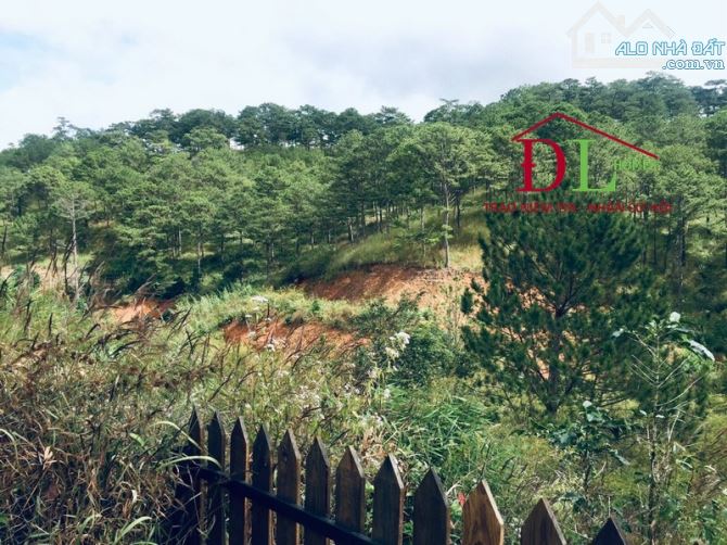 ⛺️🏞🏡  ĐẤT HOÀNG HOA THÁM 5.008M2 - SẴN 424M2 XD - VIEW TRỰC DIỆN ĐỒI THÔNG NGUYÊN SINH - 1