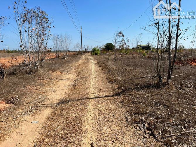 💥Ngộp bán gấp lô đất mặt tiền đường Sỏi - thôn Thiện An - xã Thiện Nghiệp - TP Phan Thiết - 1