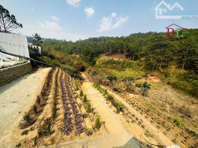 ⛺️🏞🏡  ĐẤT HOÀNG HOA THÁM 5.008M2 - SẴN 424M2 XD - VIEW TRỰC DIỆN ĐỒI THÔNG NGUYÊN SINH - 13