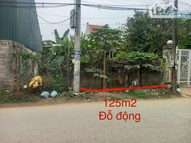 ❌️HÀNG XÓM GỬI BÁN 125m2 đất mặt đường liên xã Đỗ Động, Thanh Oai - 2