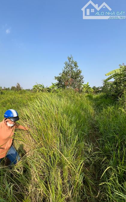 Đất vườn Bình Mỹ Củ Chi, đường Bờ bao kênh Đốc Phủ Ca, gần đường Vành Đai 3, 500 m,17x29m - 3