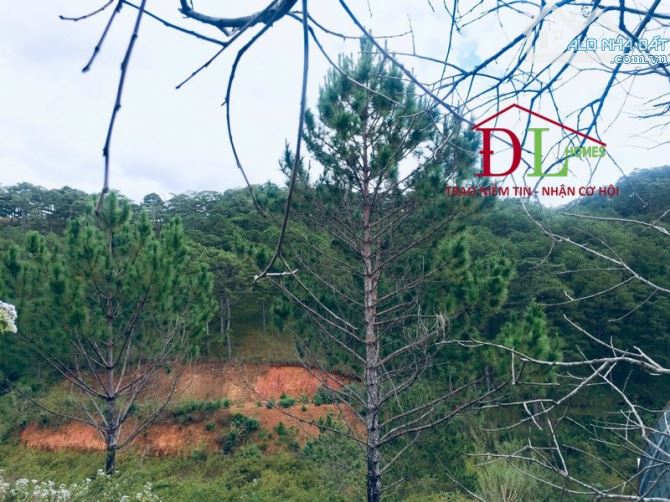 ⛺️🏞🏡  ĐẤT HOÀNG HOA THÁM 5.008M2 - SẴN 424M2 XD - VIEW TRỰC DIỆN ĐỒI THÔNG NGUYÊN SINH - 4