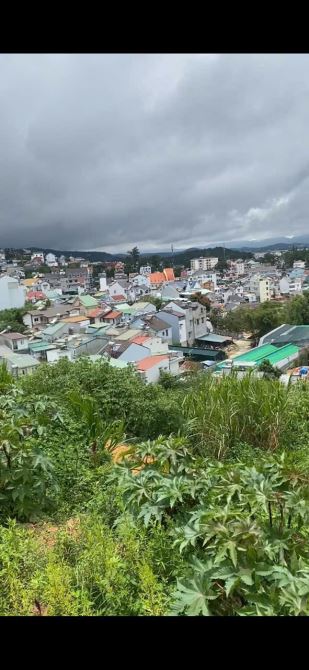 Cần bán lô đất mặt tiền Ngô Thì Sĩ phường 4 thành phố Đà Lạt - 5
