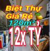 BÁN BIỆT THỰ 12x TỶ 🚛 Đường Nhựa 8m Dương Quảng Hàm. GÒ VẤP - 120m² - 2 Tầng ❌️