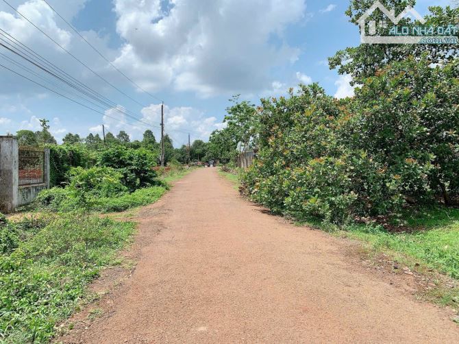 Bán khoảng 5 sào (5050m2) đất Sông Xoài, thị xã Phú Mỹ, BRVT.