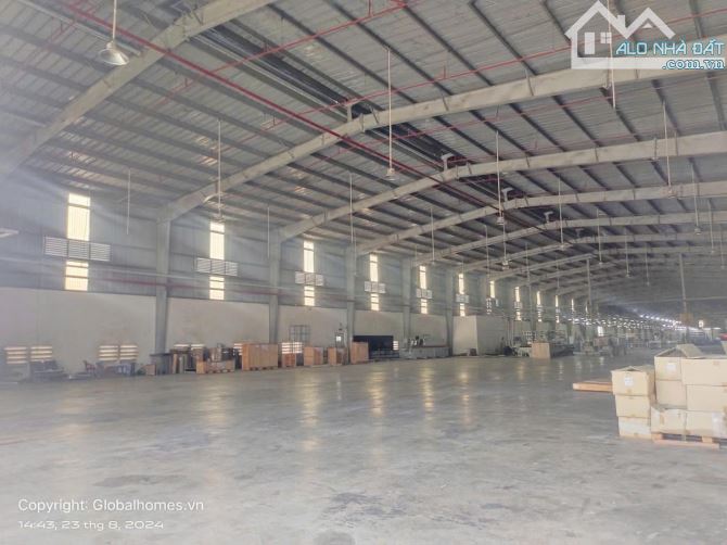 [HCM50Y3T-11] CHO THUÊ KHO XƯỞNG 10.000M2 KCN CỦ CHI, TPHCM