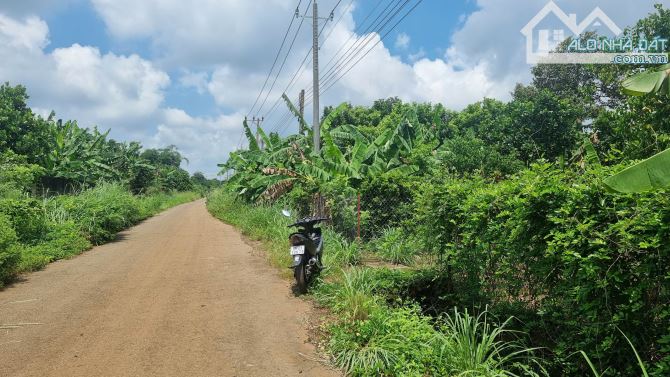 1000m2 đất mặt tiền đượng nhựa lớn gần ngã tư Dầu Giây. Có366m2thổ cư. Giá 1,3t( giá 100%) - 1