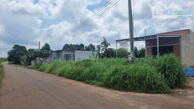 1000m2 đất mặt tiền đượng nhựa lớn gần ngã tư Dầu Giây. Có366m2thổ cư. Giá 1,3t( giá 100%) - 2
