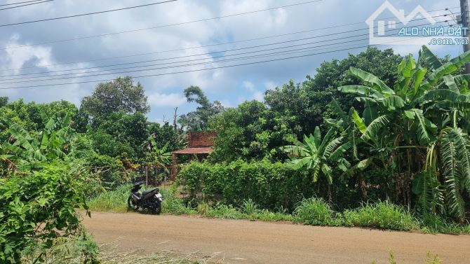 1000m2 đất mặt tiền đượng nhựa lớn gần ngã tư Dầu Giây. Có366m2thổ cư. Giá 1,3t( giá 100%) - 4
