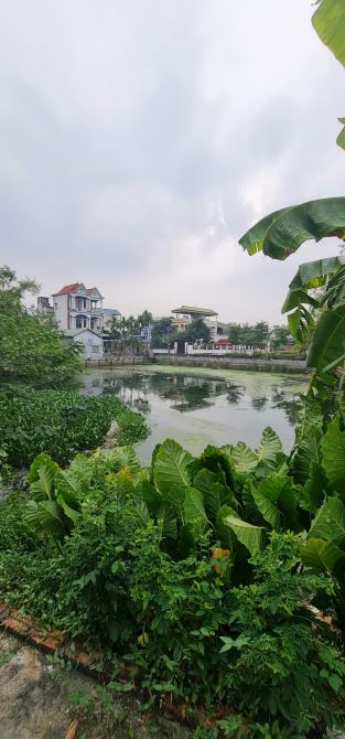 Bán đất view hồ tại thôn Chi chỉ, Đồng cương, Yên lạc. - 4