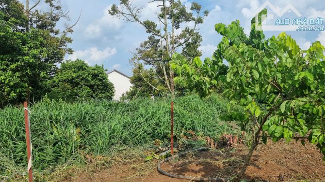 1000m2 đất mặt tiền đượng nhựa lớn gần ngã tư Dầu Giây. Có366m2thổ cư. Giá 1,3t( giá 100%) - 5