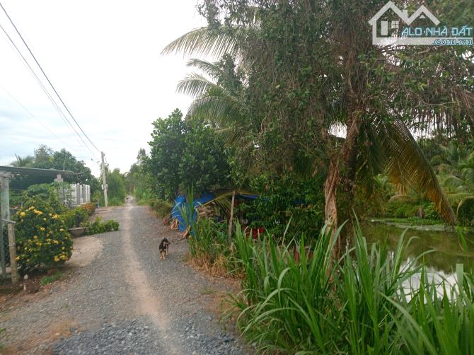 Vườn dừa 20x63=1487m² gần KCN, vòng xoay cao tốc