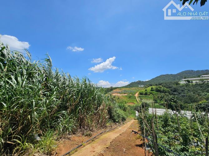 Chủ cần bán đất nông nghiệp mimosa, p10, tp Đà Lạt. 2400m²  Sổ riêng nông nghiệp 11ty