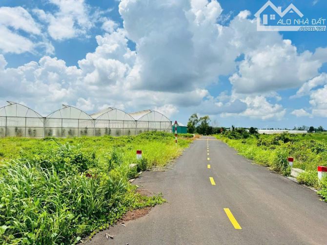 1700m2 có 437m thổ cư phươc long thọ giá 1 tỷ 650 - 1