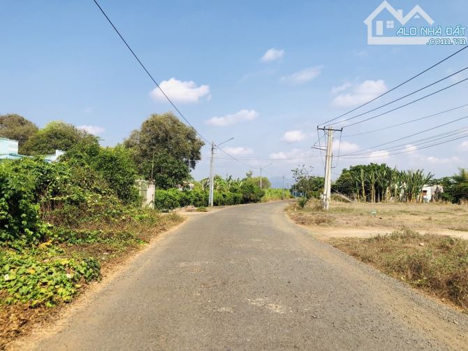 ‼️Bán gấp lô đất Cách biển 7km Lê Văn Một 705m2-3tỷ3 - 2