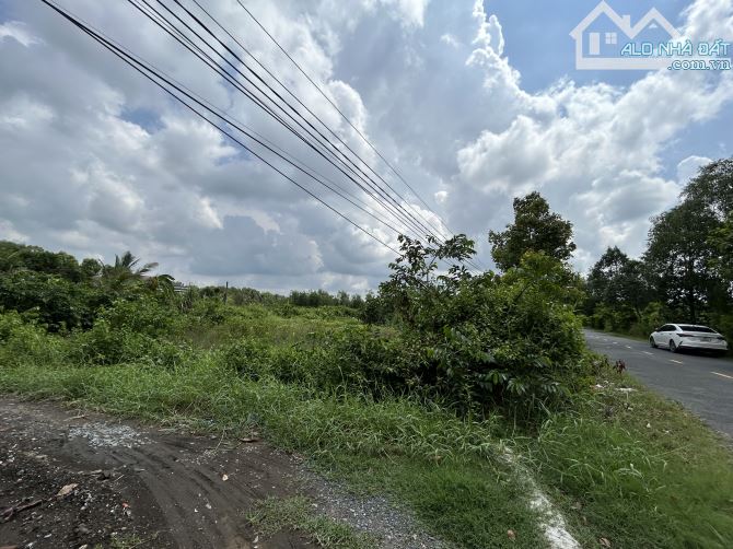 ✅ Bán 4200m2 đất mặt tiền DT 827D có 2100m2 Thổ và 2100m2 Lúa. _ Giá : 9 tỷ ( hết đất ). - 2