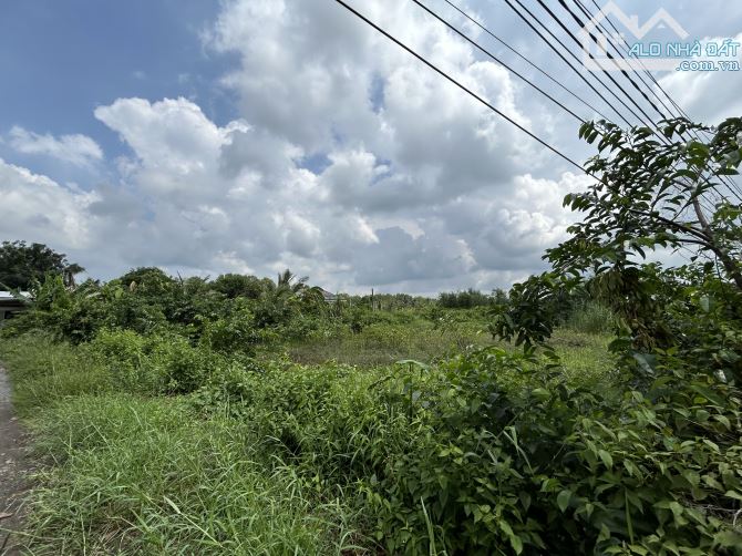 ✅ Bán 4200m2 đất mặt tiền DT 827D có 2100m2 Thổ và 2100m2 Lúa. _ Giá : 9 tỷ ( hết đất ). - 3