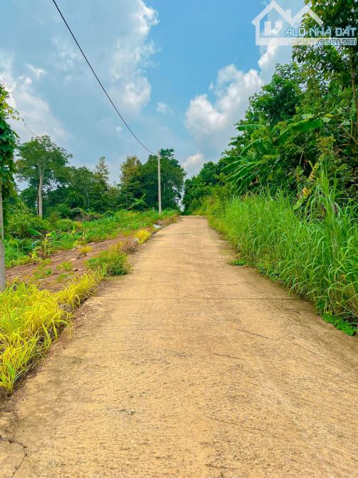 BÁN LÔ ĐẤT VƯỜN VIEW SUỐI, THỔ CƯ KHỦNG, CÁCH SÂN BAY LONG THÀNH 15KM - 1