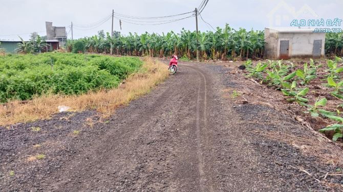 Cần bán 1000m, quy hoạch đất Thương Mại Dịch Vụ, xác bên hồ Trị An, xã Thanh Bình