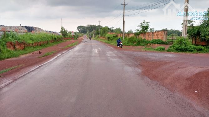 Cần bán 3 Mẫu 5, Mặt Tiền đường nhựa, xã Cây Gáo, huyện Trảng Bom - 1