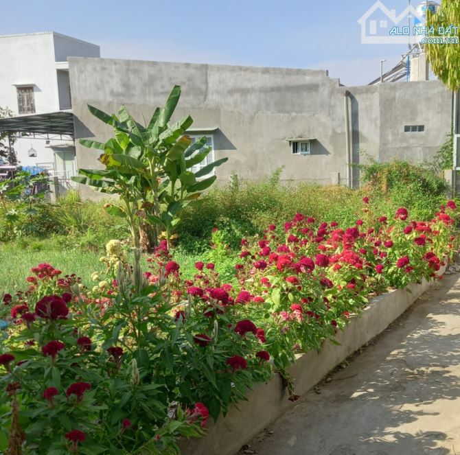 Đất thổ cư giá Rẻ-Gần bên Phan Huy Ích-Phú Hài-Phan Thiết-DT 130m2,mặt tiền 7m - 1