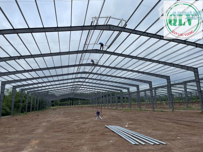 Bán/ Cho thuê nhà xưởng mới xây dựng diện tích 5.000-15.000m2 ở Phú Giáo, Bình Dương - 1