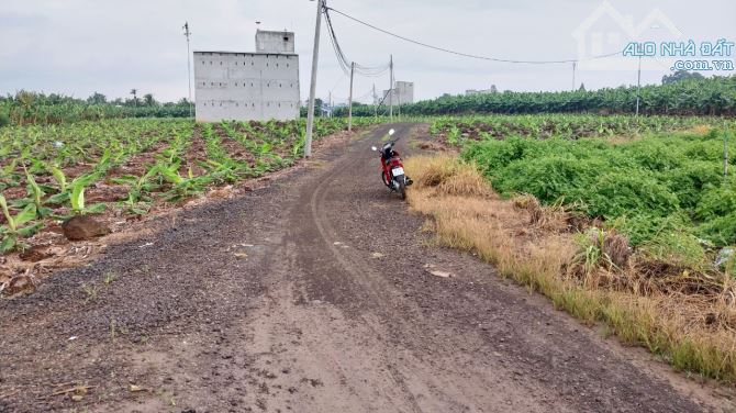 Cần bán 1000m, quy hoạch đất Thương Mại Dịch Vụ, xác bên hồ Trị An, xã Thanh Bình - 1