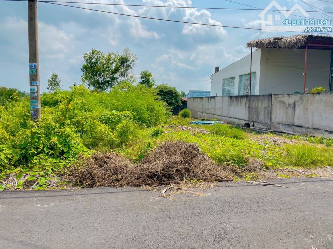 BÁN ĐẤT 2 MT ĐƯỜNG NHỰA, THỔ CƯ, CẠNH BỜ HỒ BÀ TÔ, RA BIỂN 15 PHÚT, BÁN NHANH TRONG TUẦN - 1