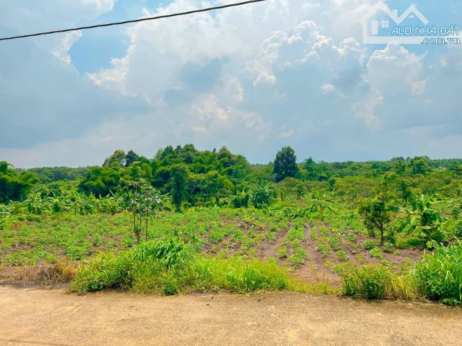 BÁN LÔ ĐẤT VƯỜN VIEW SUỐI, THỔ CƯ KHỦNG, CÁCH SÂN BAY LONG THÀNH 15KM - 3