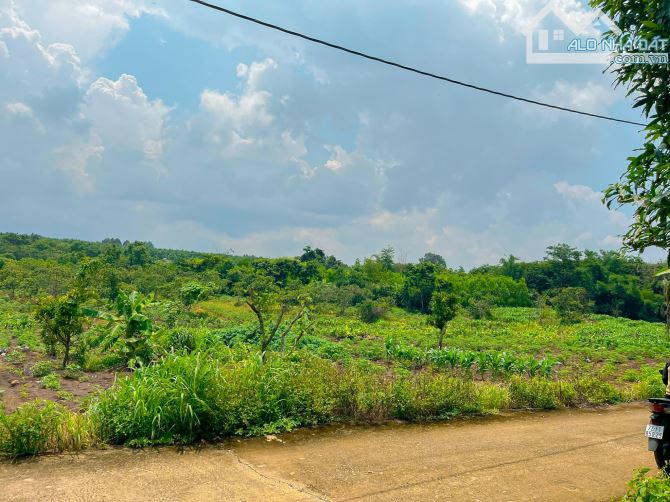 BÁN LÔ ĐẤT VƯỜN VIEW SUỐI, THỔ CƯ KHỦNG, CÁCH SÂN BAY LONG THÀNH 15KM - 4