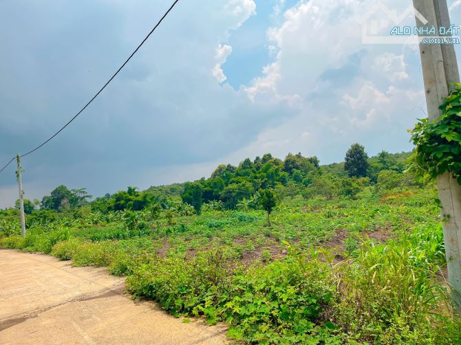 BÁN LÔ ĐẤT VƯỜN VIEW SUỐI, THỔ CƯ KHỦNG, CÁCH SÂN BAY LONG THÀNH 15KM - 5