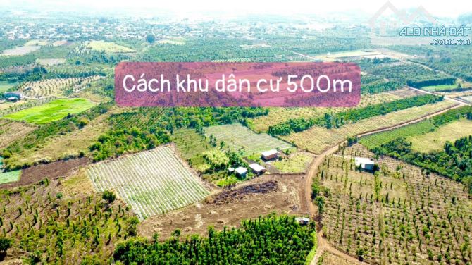 Bán 9 sào hoà Khánh gần đường tránh hồ chí minh - 4