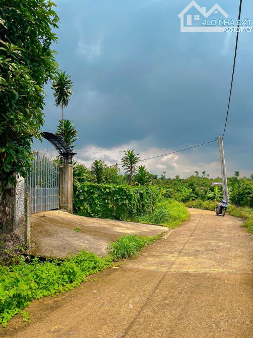 BÁN LÔ ĐẤT VƯỜN VIEW SUỐI, THỔ CƯ KHỦNG, CÁCH SÂN BAY LONG THÀNH 15KM - 6