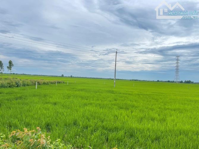 Mặt tiền đường tỉnh 935, Thạnh Thới An, Trần Đề, Sóc Trăng