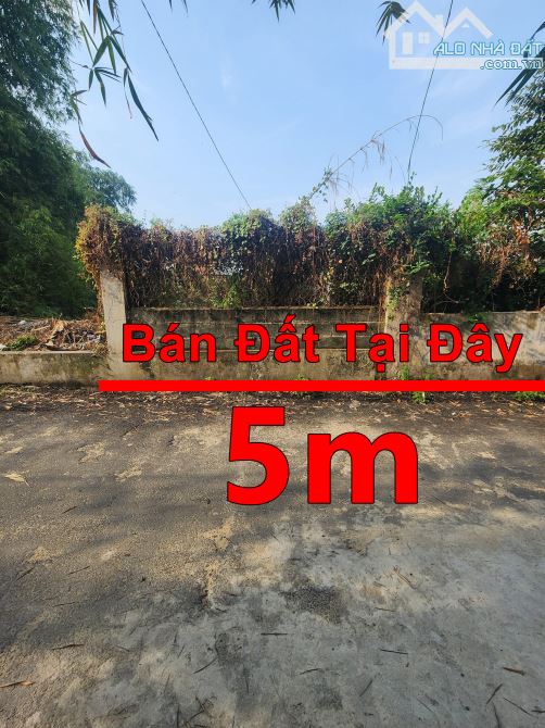 Bán đất ngộp 136m2 Thổ Cư ngay chợ Đầu Mối Hóc Môn - 1