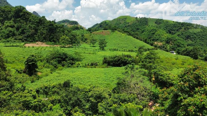 2200m Đúng Tiêu Chí Đẹp - Tiện Ích Đầy Đủ - Giá Rẻ: 1.2 Tỷ - 2