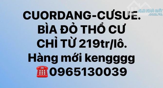 6x20m ĐẤT THỔ CƯ NGAY GẦN CHỢ ĐẠT LÝ-ĐƯỜNG NHỰA 10m. VÀ NHIỀU SẢN PHẨM ĐẦU TƯ CHỈ 199TR - 4