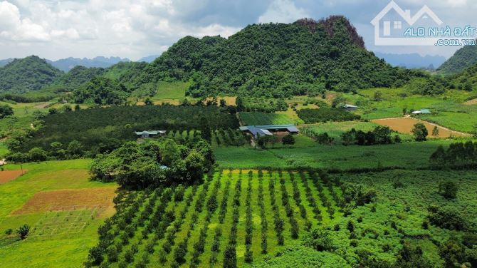 2200m Đúng Tiêu Chí Đẹp - Tiện Ích Đầy Đủ - Giá Rẻ: 1.2 Tỷ - 4