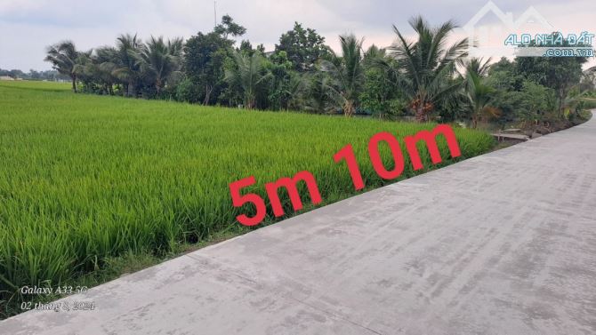 💎ĐẤT THỔ F0 GIÁ CÔNG NHÂN XÃ TÂN PHƯỚC TÂY TÂN TRỤ LA DT: 5X27M GIÁ: 380TR