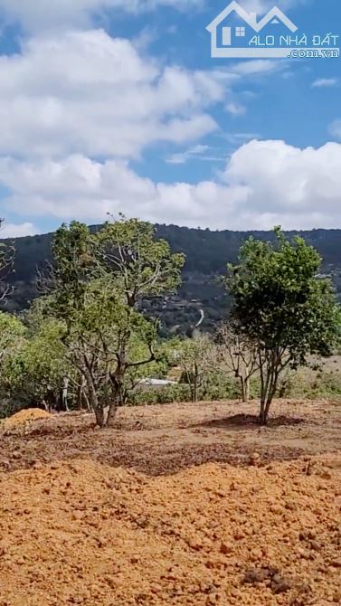 🌳2800M - XUÂN TRƯỜNG- VIEW SIÊU ĐẸP- 3 TỶ 5 GẦN ĐIỆN GIÓ ĐỒI CHÈ