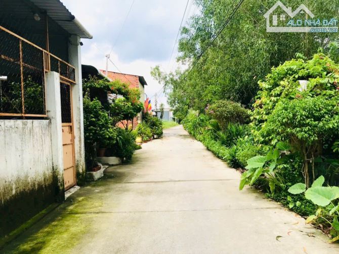 Đất bán ngay UBND MỸ HẠNH NAM , 1ty130 Triệu , Sổ Hồng Riêng 120m2 Thổ Cư - 3