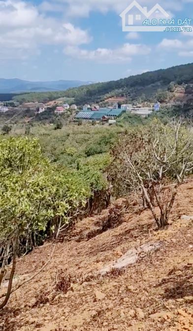 🌳2800M - XUÂN TRƯỜNG- VIEW SIÊU ĐẸP- 3 TỶ 5 GẦN ĐIỆN GIÓ ĐỒI CHÈ - 3