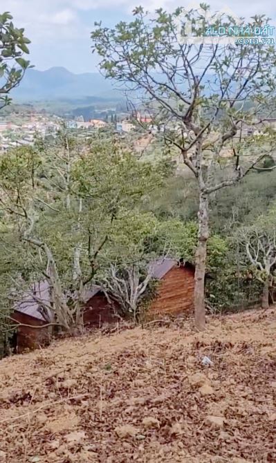 🌳2800M - XUÂN TRƯỜNG- VIEW SIÊU ĐẸP- 3 TỶ 5 GẦN ĐIỆN GIÓ ĐỒI CHÈ - 4