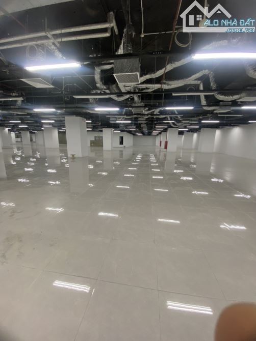 CĐT Cho thuê mặt bằng kinh doanh Quận Cầu Giấy, dt 1000m2 MT50m, sâu 20m - 1