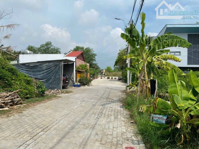 Diện tích: 904m2 - Ngang 19m, dài 51m. Xung quanh hàng xóm đã xây biệt thự. - 1