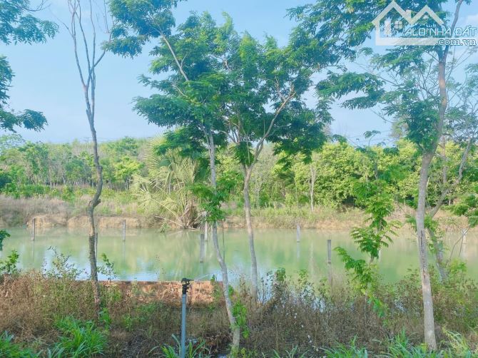 Bán vườn cây trái 11ha mặt tiền nhựa, sẵn 300m2 thổ cư, giáp suối - 3