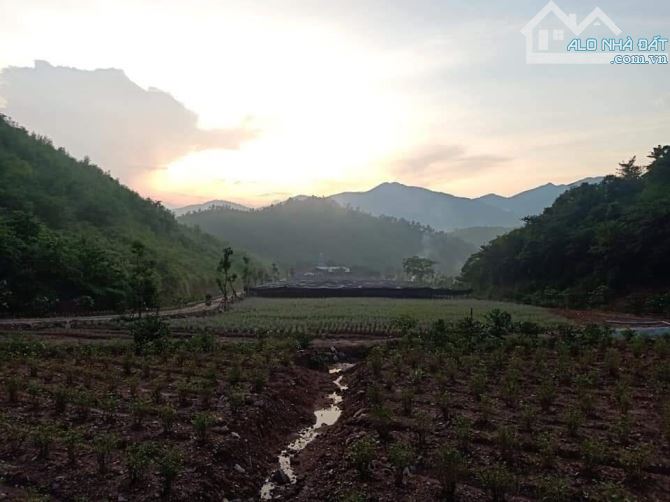 Bán đất thị xã Đông Triều - tỉnh Quảng Ninh: Diện tích 30 ha - Giá 33 tỷ - 9